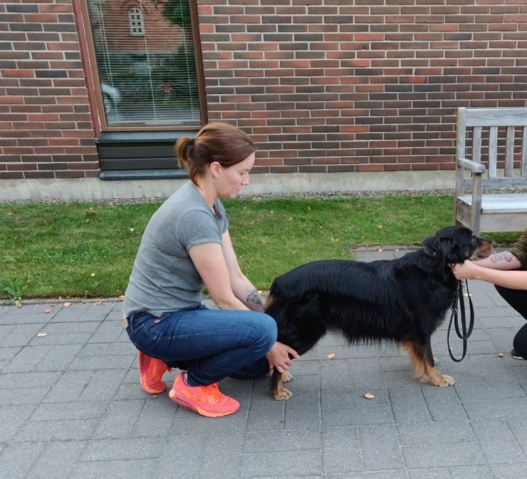 00527b30-0fe5-464d-9c48-378e1d5f04f9